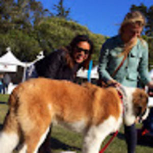 Meet your Posher, Grace